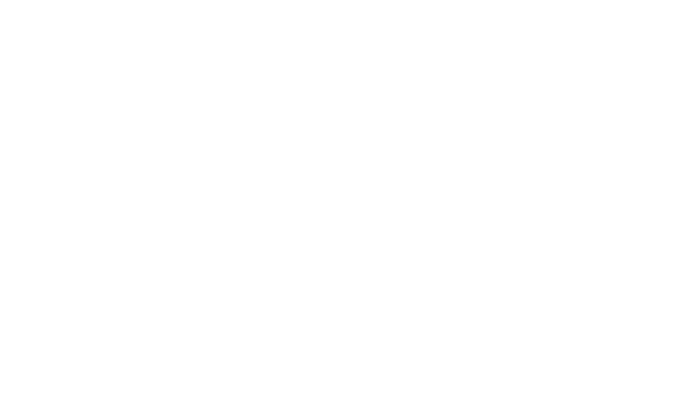 hey-dude
